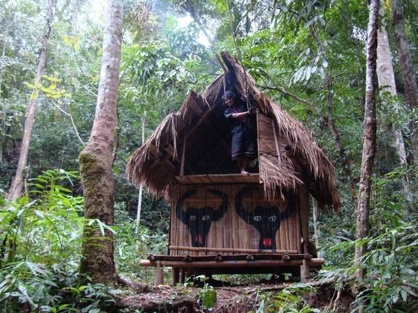 了解西双版纳的风俗和民族文化,西双版纳哈尼族特点民族文化