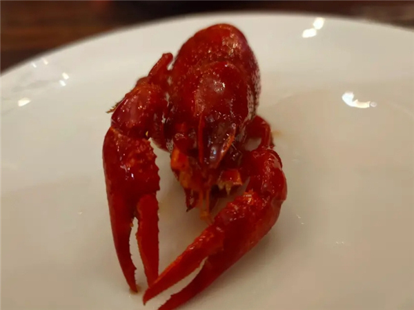 小龙虾珠海推荐,小龙虾广东探店