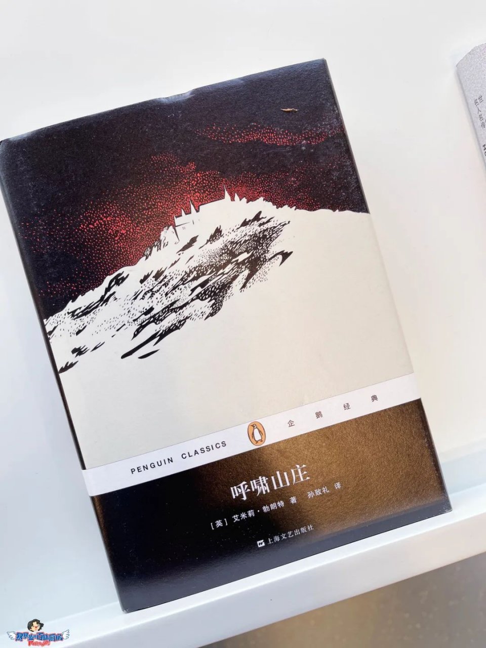 美哭了！沈阳公园里的高颜值城市书房，周末限流入馆！暴风哭泣