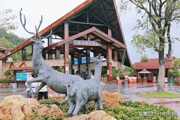 去三亚旅游吃住行全攻略,三亚吃住行