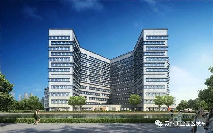 尖叫！苏州碾压一线城市，迎来高光时刻