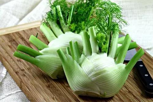 茴香种植时间和方法球茎茴香,带根的茴香怎么种植最好