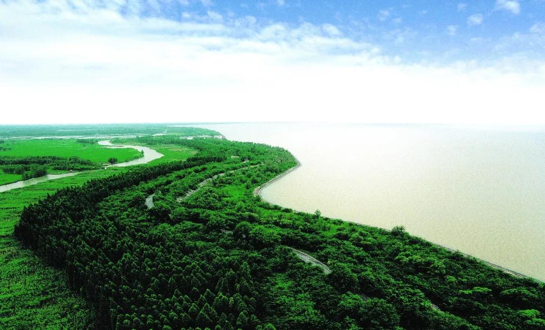 中国的植物多样性保护,全国林草生物多样性保护成就展