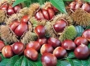 各种水果吃法时间表,7种水果要经常给孩子吃