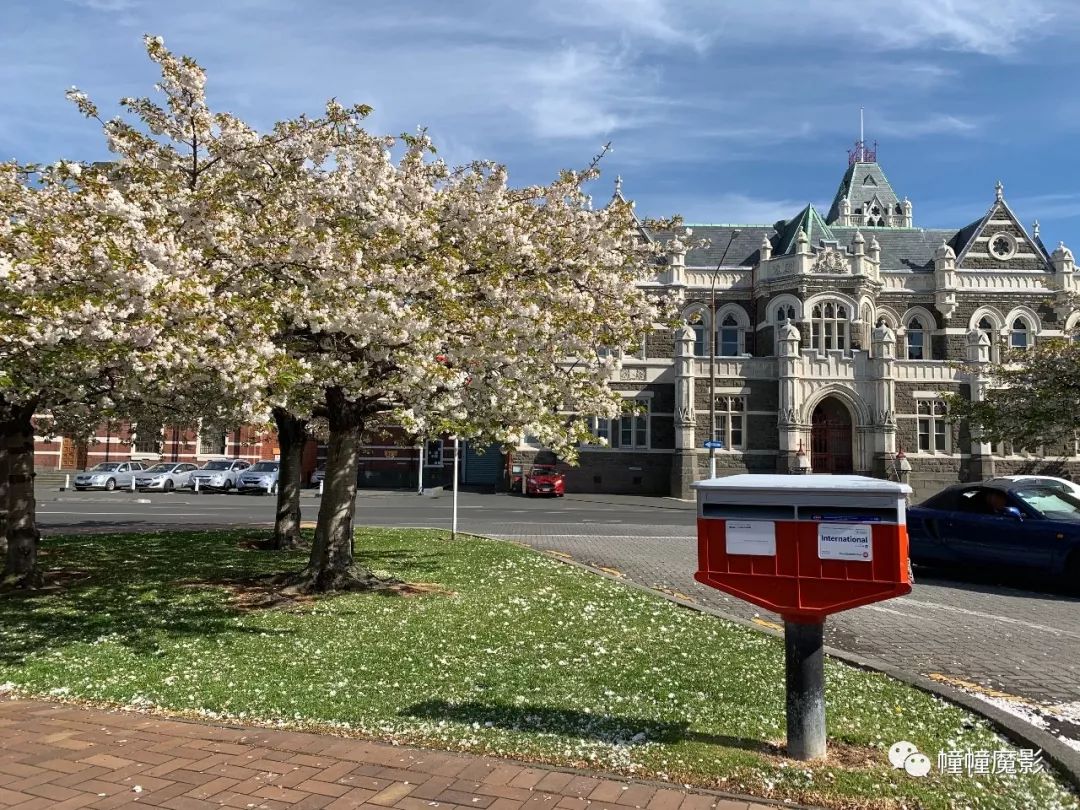 新西兰见闻录100,新西兰生活见闻