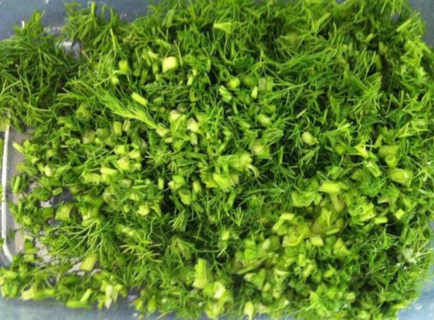 夏季必吃这6种馅的饺子,夏天吃饺子用什么馅的最好