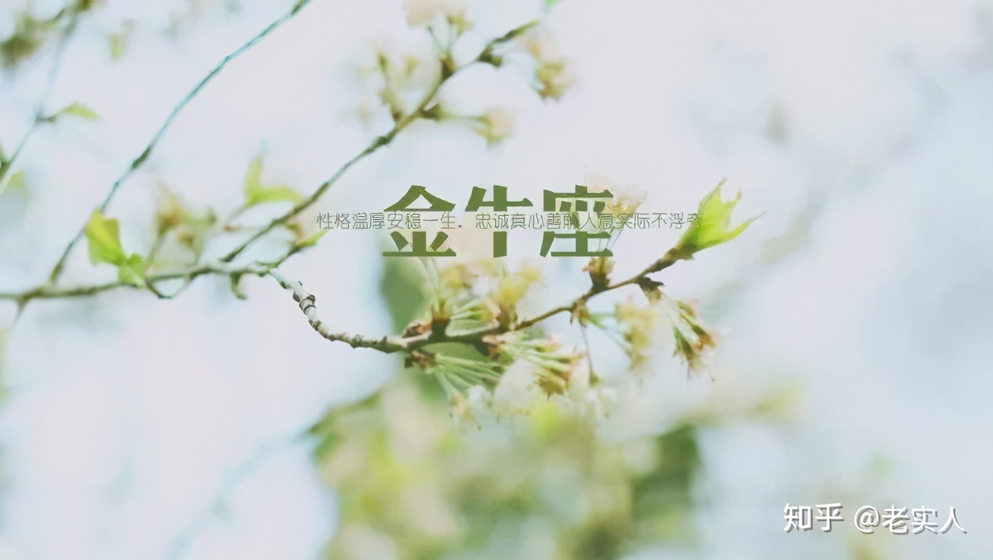 分手基本不回头的星座,感情中不回头的星座