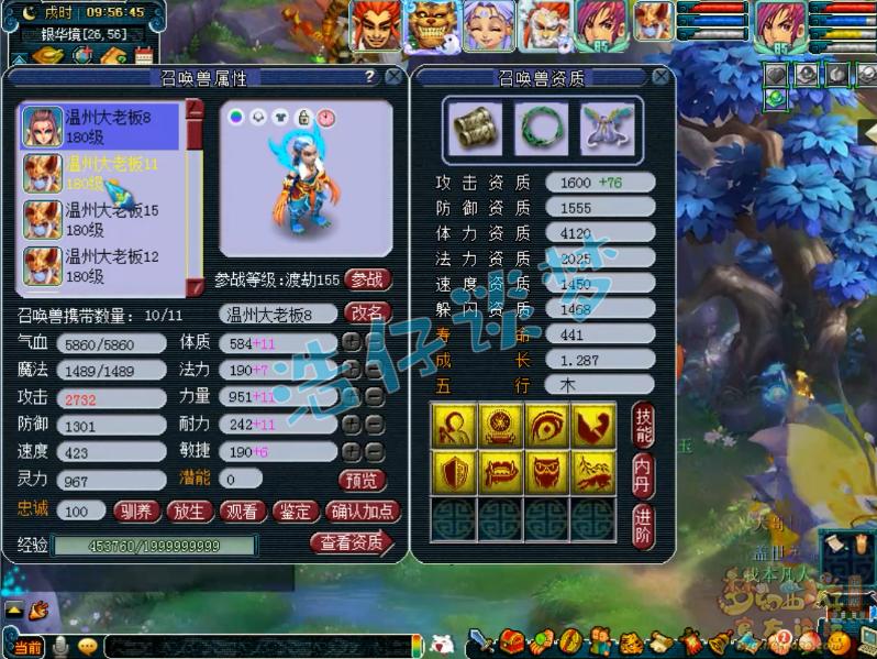 梦幻西游渔岛服战阵容,梦幻西游渔岛服战最强阵容