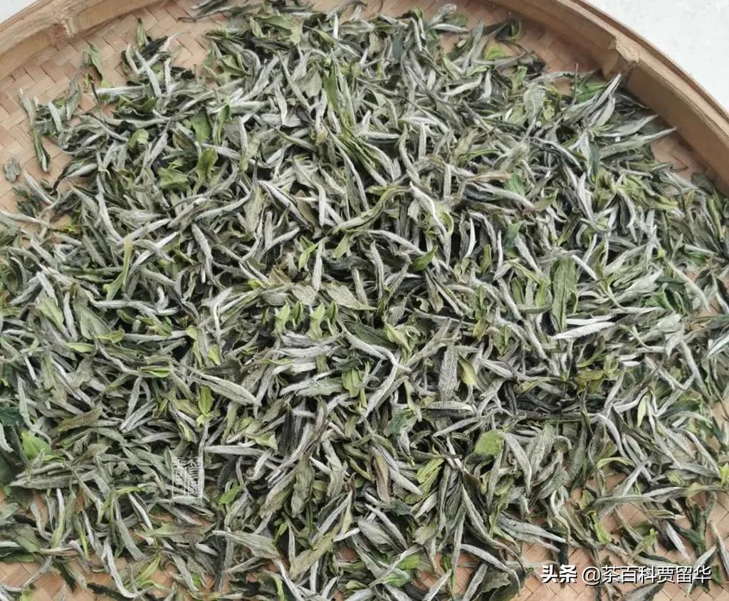 大红袍正山小种金骏眉白茶铁观音,白茶铁观音金骏眉