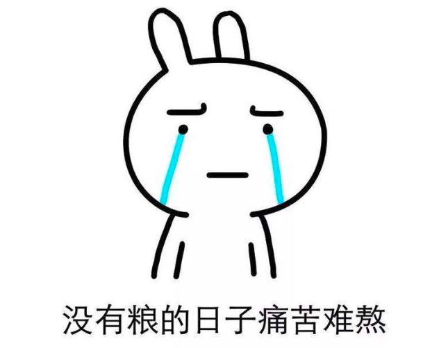 年底资金紧，网商银行来帮忙：“网商贴”上线，小额票据秒变现