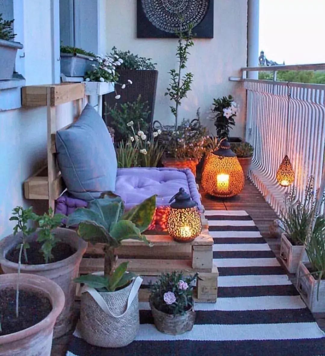 对猫咪无害的绿植花卉,猫咪禁忌养的植物