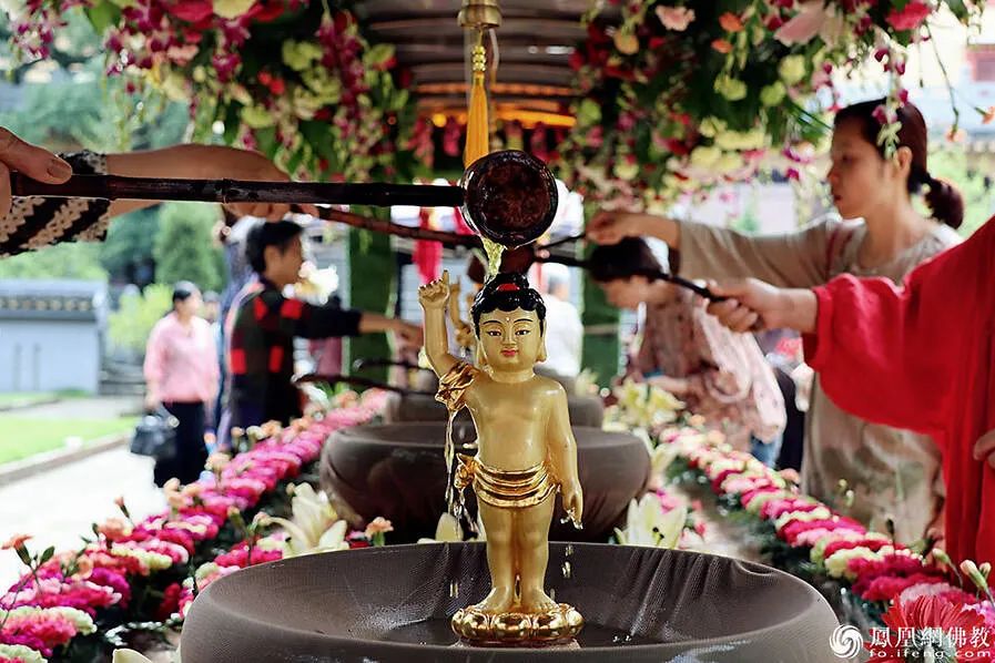 佛法怎么解决这次疫情,疫情期间如何欢度佛诞节