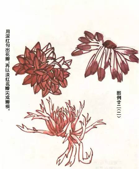 顶级写意菊花图片,写意菊花画教程零基础入门
