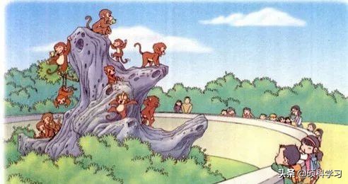 一二年级必考看图写话训练及范文,二年级看图写话写作技巧及练习