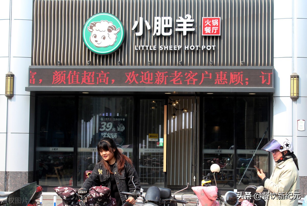 海底捞和小肥羊的研究,小肥羊为什么没落