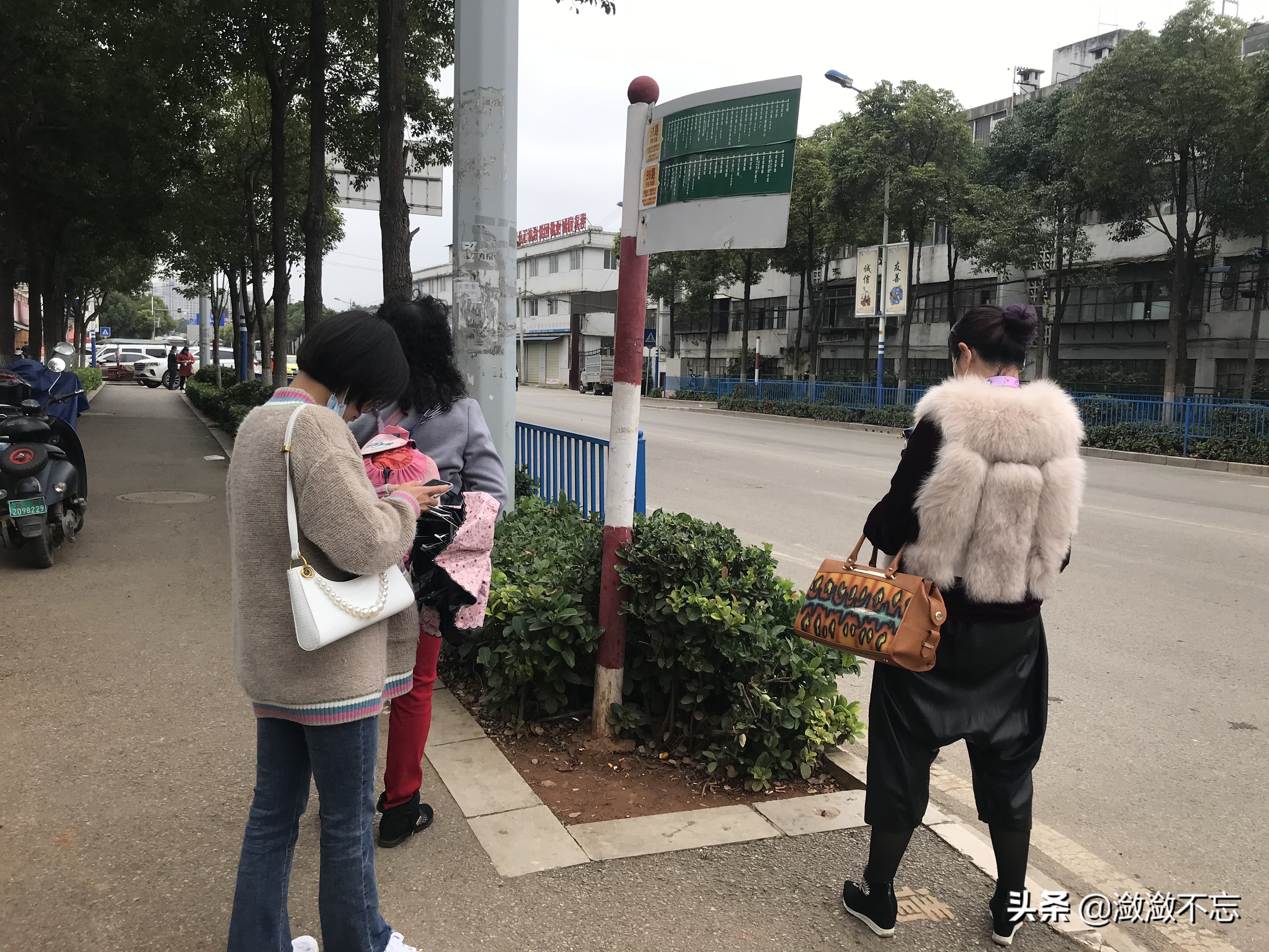 昆明哪里买花便宜又好,昆明斗南花卉市场怎么买花