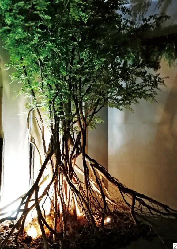 走进日本百年花店——日比谷花坛