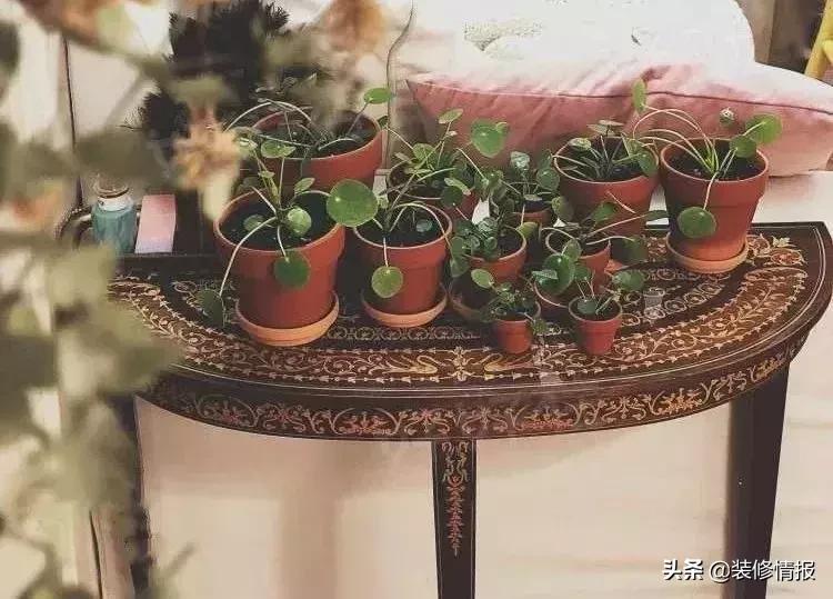 北京40万平米豪宅,40平米女生豪宅