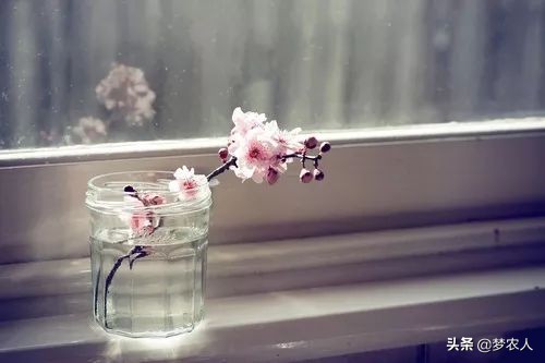 你怎么放进去，我就怎么拿出来