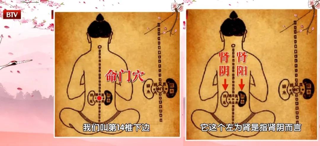 国医大师小茴香补肾气,国医大师补肾气方法