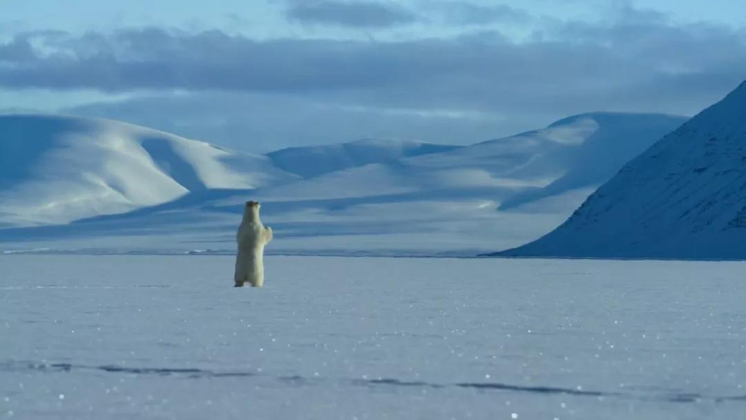 能长上流社会见识的纪录片,有什么可以增加见识眼界的纪录片