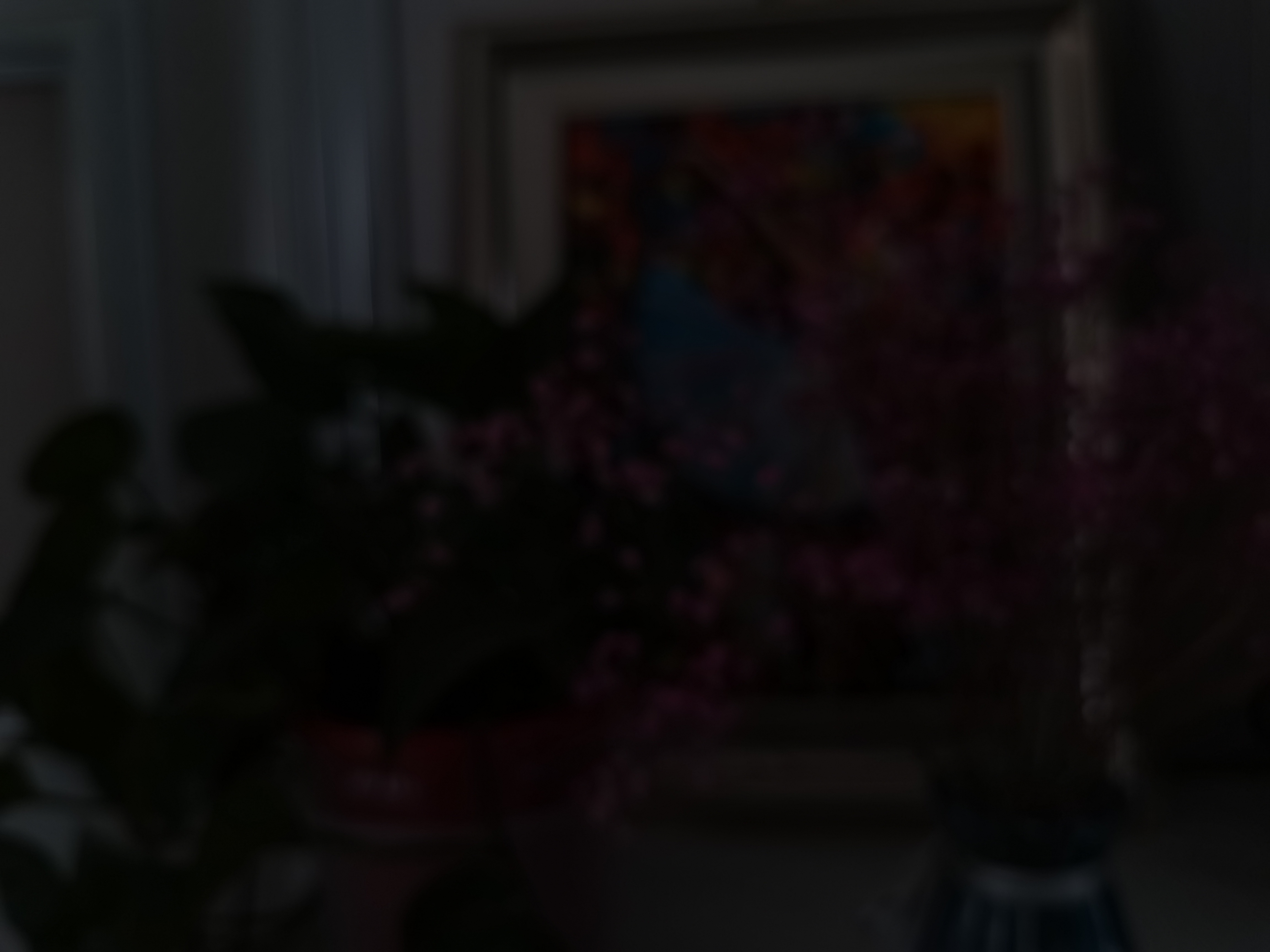 光荣30s放大20倍拍照评测,光荣30s测评大米