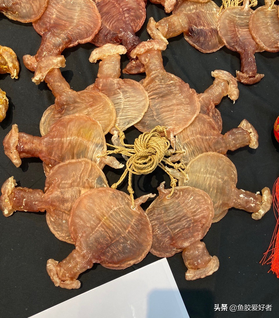 鱼胶选买什么样的好,如何挑选鱼胶让人觉得你是内行