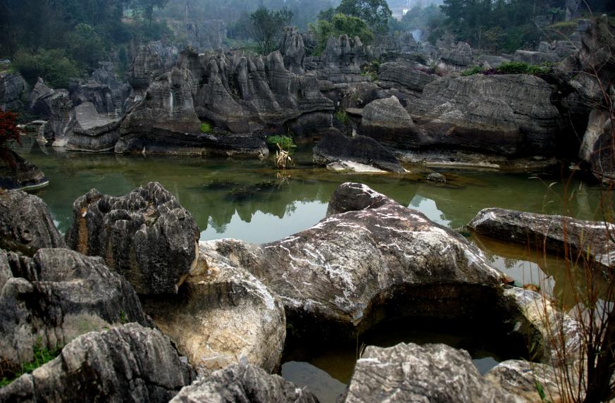 重庆万盛石林奇观,鬼斧神工石林景区