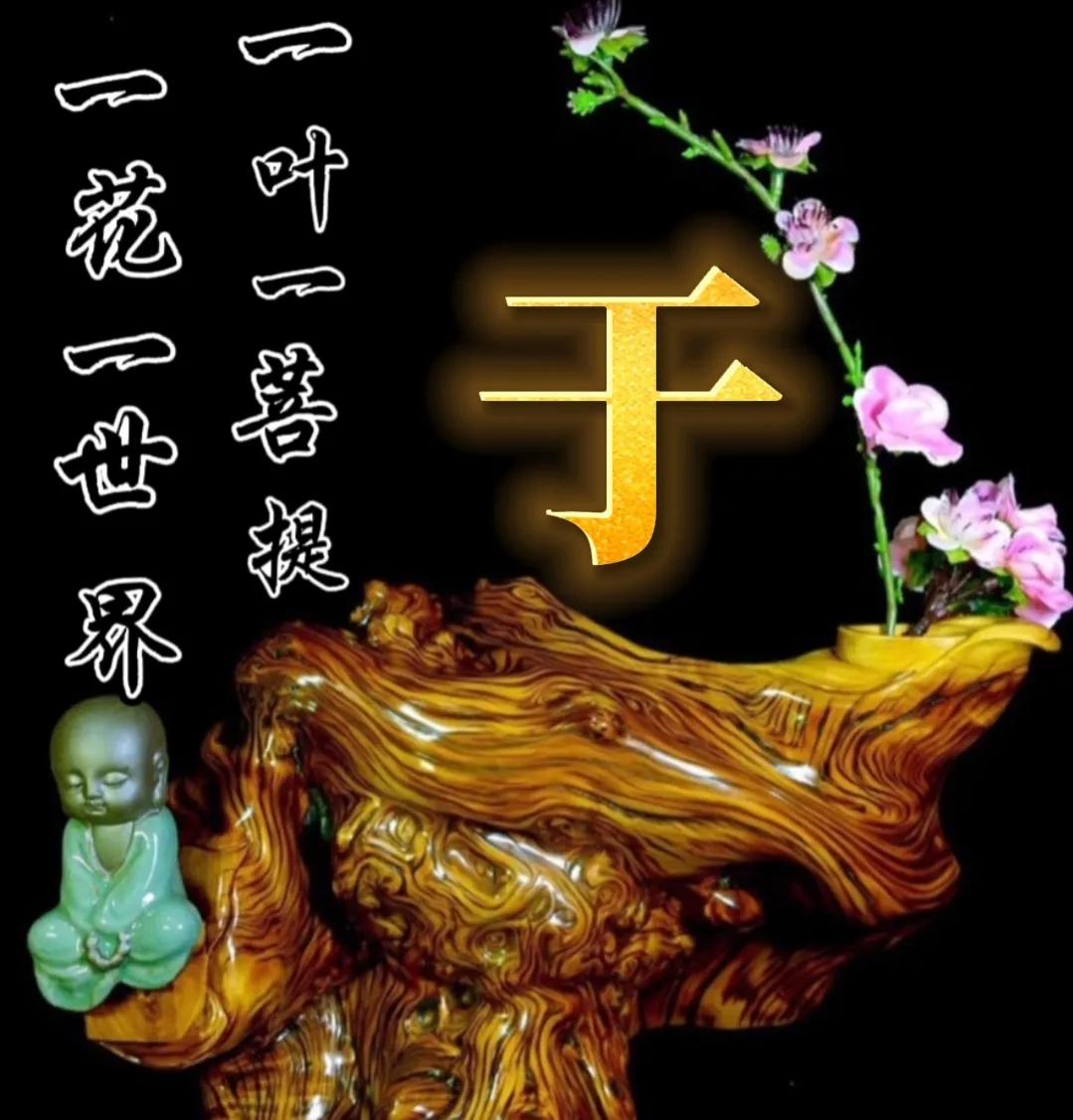 一花一世界一叶一菩提头像,一叶一菩提禅意微信头像