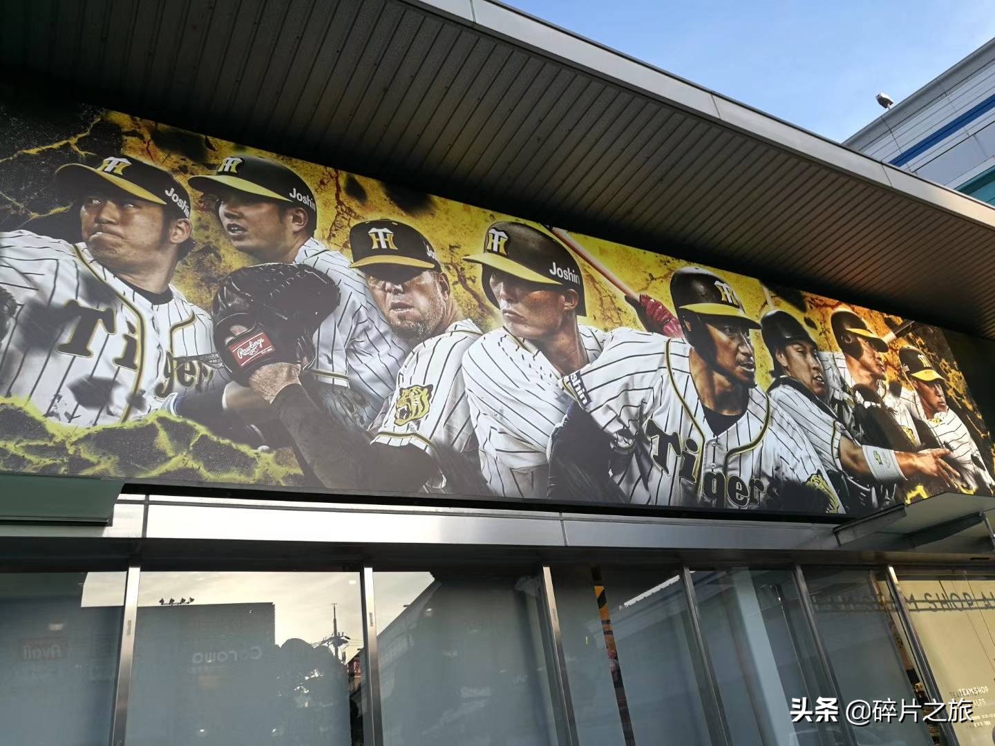 乘风破浪的姐们-上海日本豪华游轮六天五夜游攻略