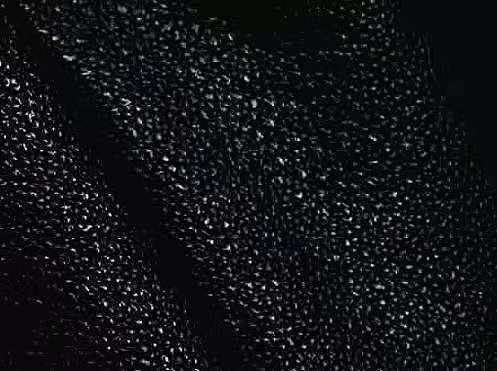 十大珍稀皮料,珍稀皮革