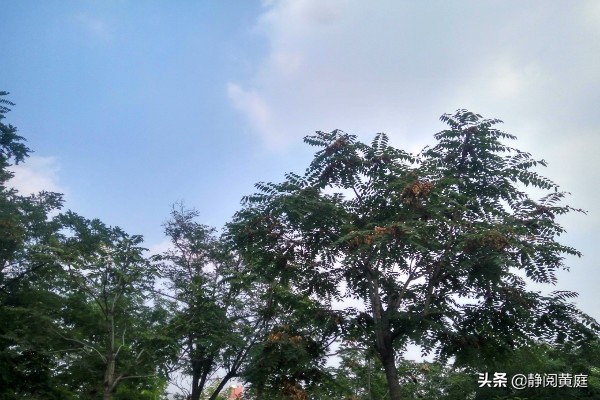 一首唐诗一阵风，不仅送来春花烂漫与黄叶飘飘，还驱散了所有阴霾