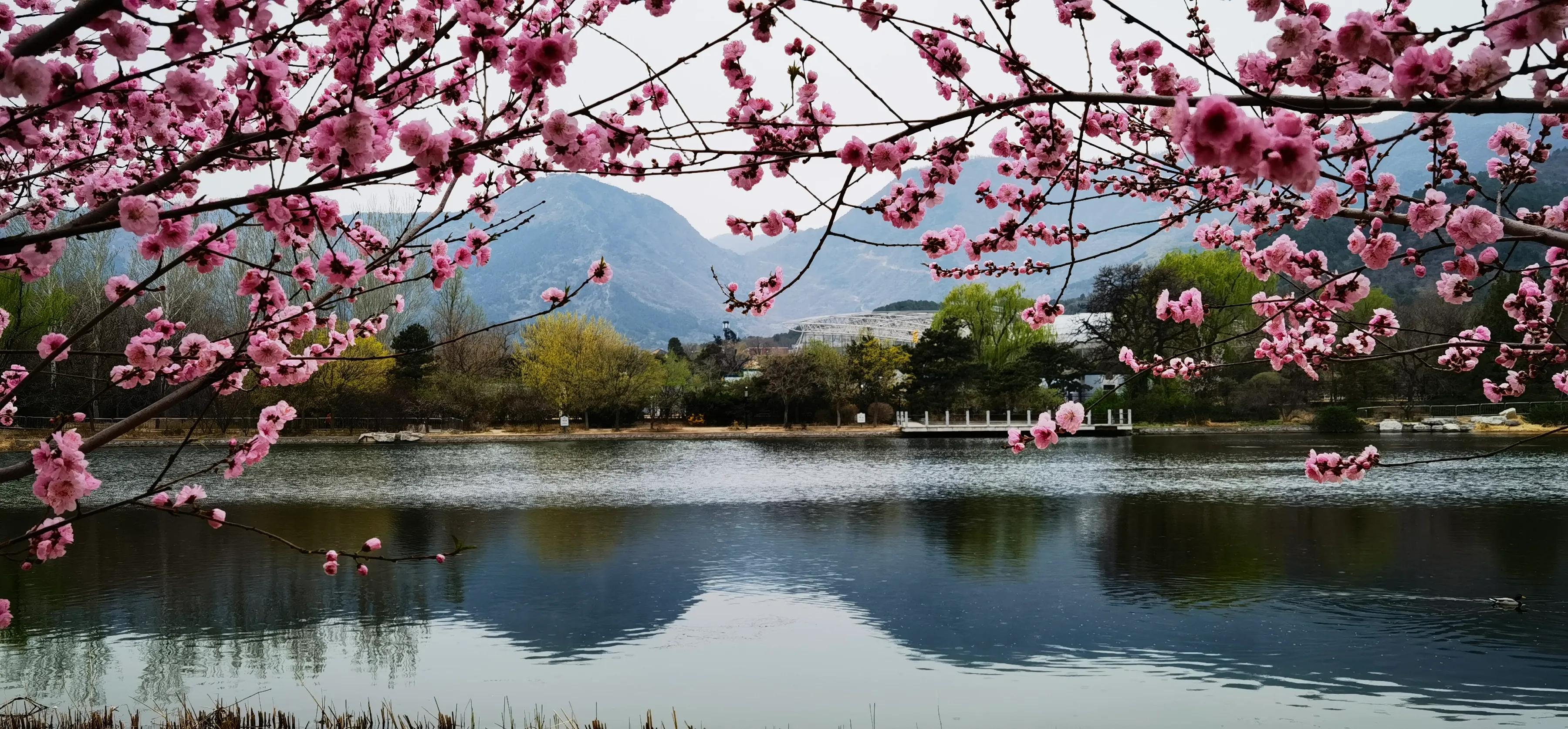 手拍世界作品集402期,2022年世界手机摄影大赛征稿