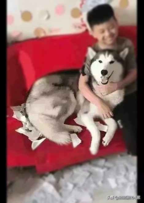 被大火烧掉书包,放火把寒假作业烧了犯放火罪吗