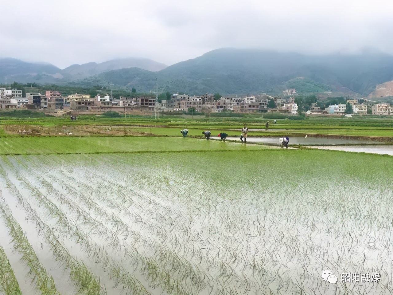 在希望的田野上高清图片,在希望的田野上的视频