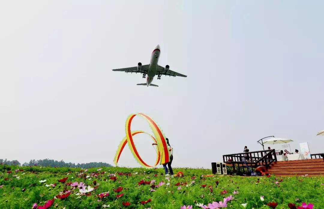 城市公园怎么玩,公园玩法