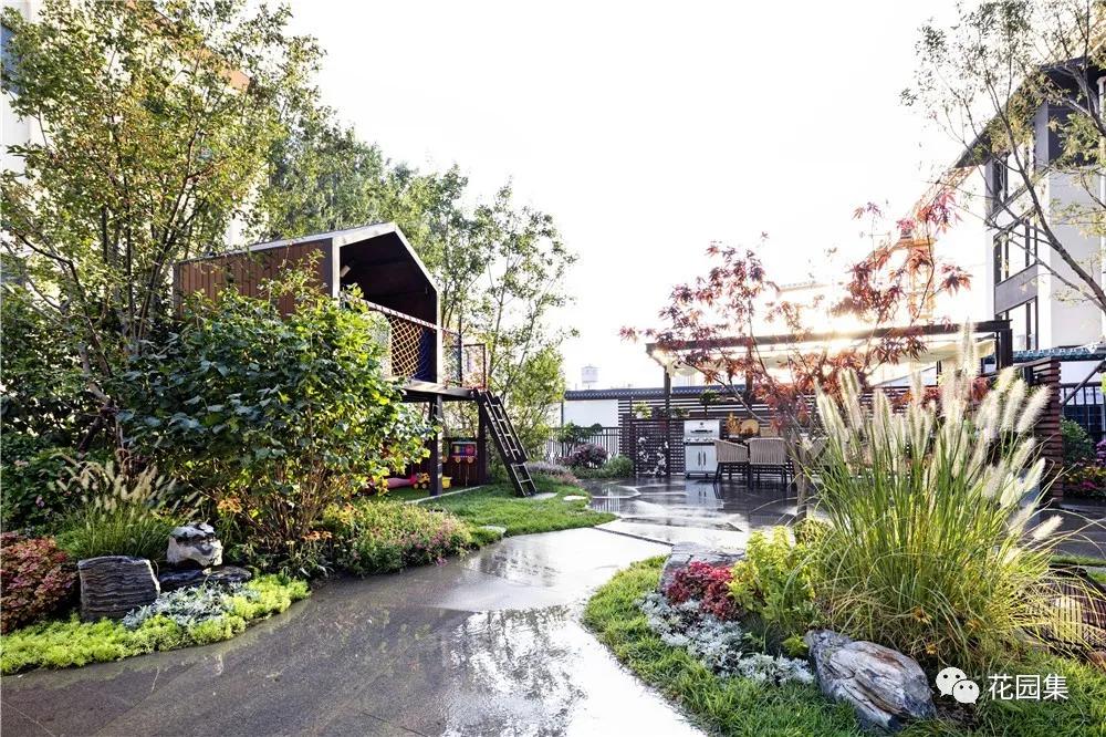 小花园最新改造,改造一个小花园真的太不容易了