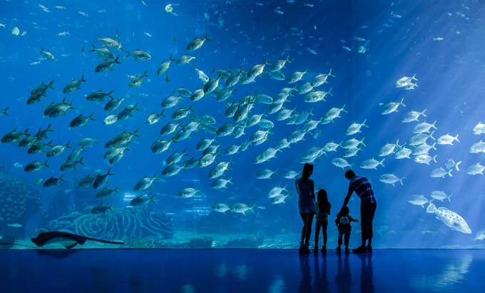 珠海横琴长隆海洋王国,珠海横琴长隆海洋王国门票价格