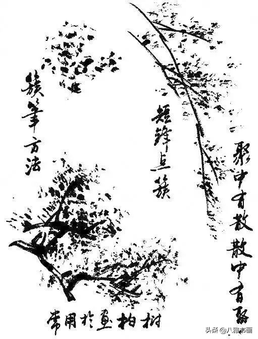 小写意花鸟画笔法,小写意花鸟画笔墨技法与创作