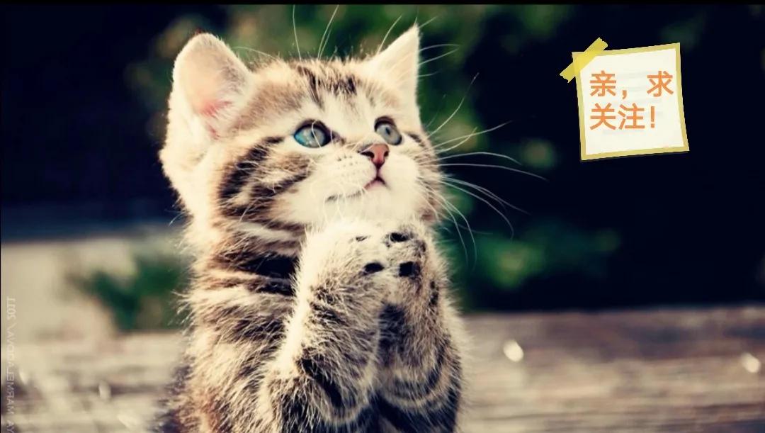 书荒求高质量男主都市小说推荐,书荒了都市小说完本排行榜