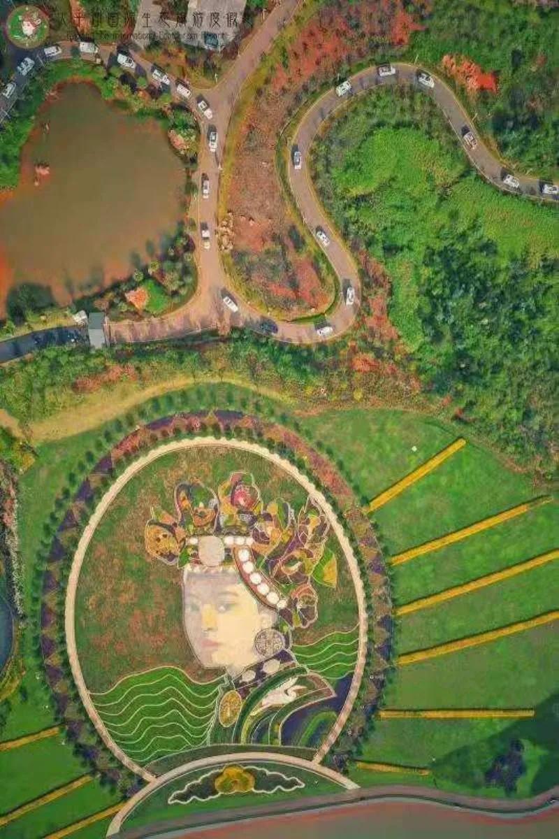 瞧！这花花世界谁不爱