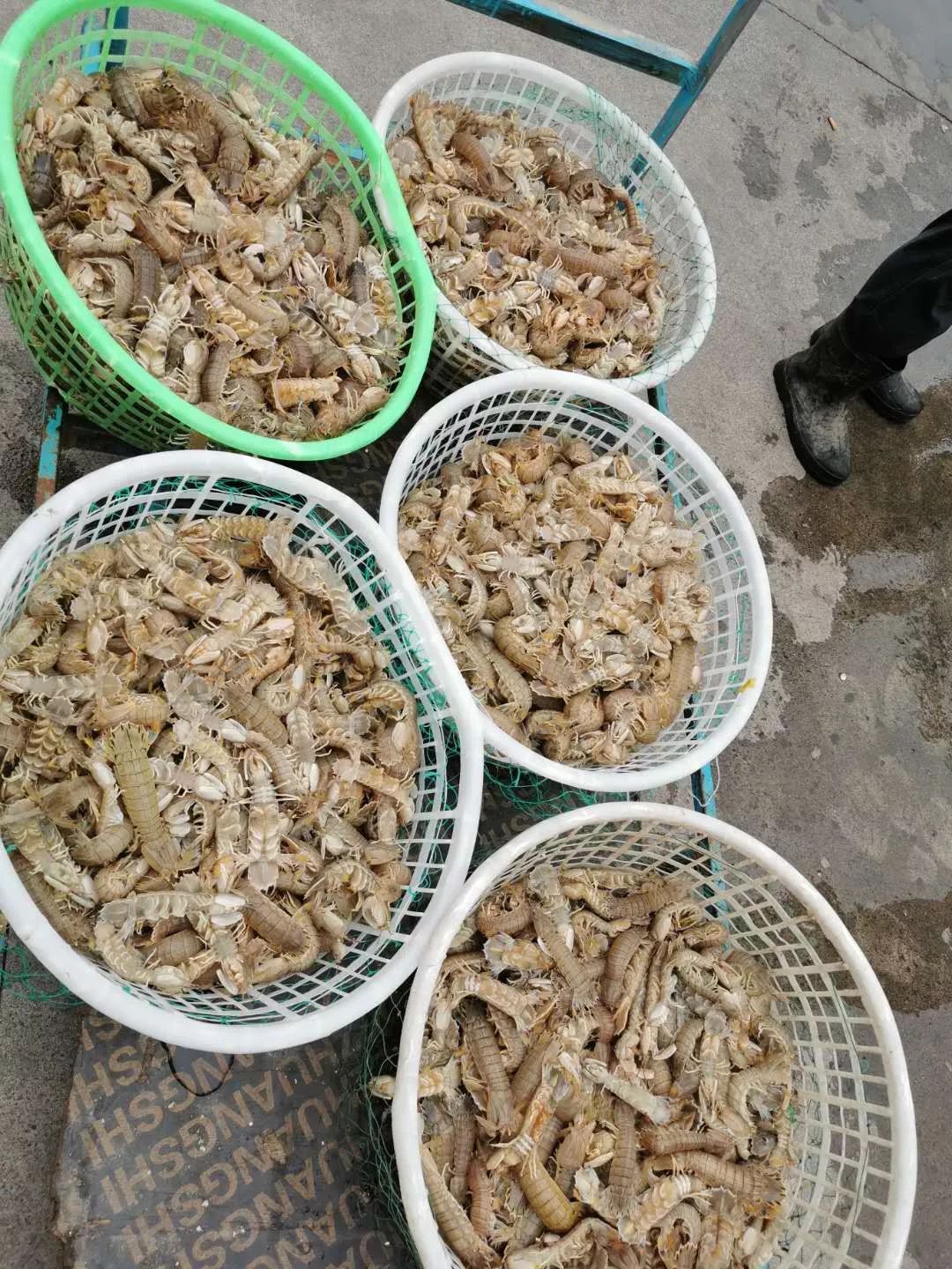 北京带孩子避暑去哪里最好,北京旅游景点推荐适合带孩子避暑