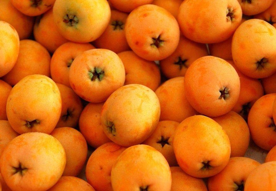 5月份的季节适合吃的水果有哪些,5月水果当季有哪些水果