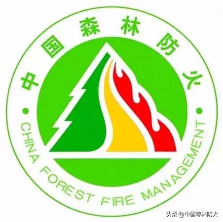 森林防火创意手工,创意森林防火宣传画