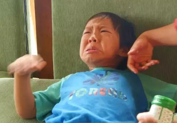 他叫辛巴，不是狮子王，8岁穿越12国：最好的教育，永远在路上