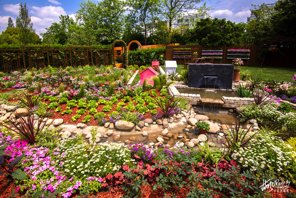 上海国际花展一览表,上海国际花展一览