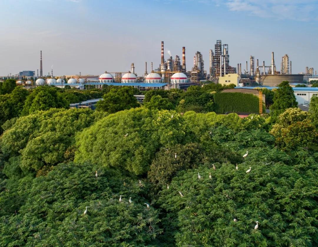 皇马世界排名第一截图,皇马第一名