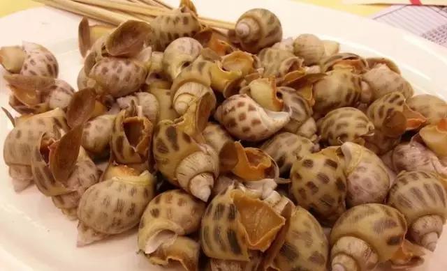 寿光羊口海鲜什么时间去合适,寿光羊口开海时间