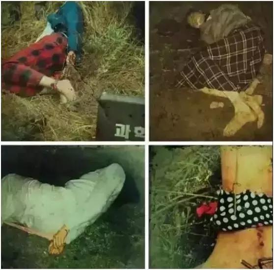 90后恶魔回忆杀人案,杀人回忆里真凶找到了