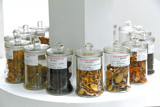 免费游云浮｜如云般洁白轻妙，浮动着向往的生活，云浮免费旅游